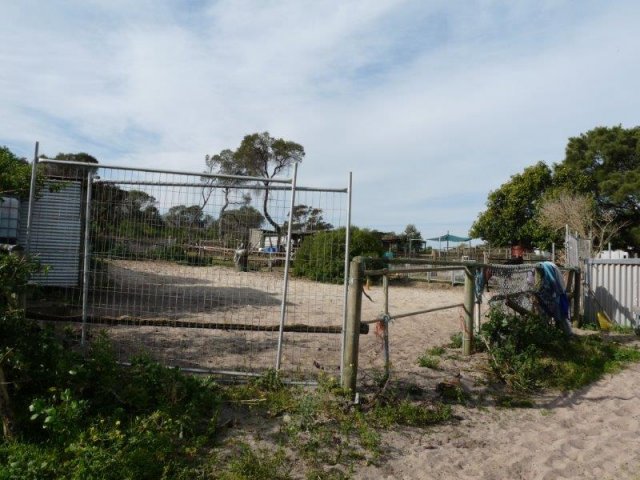 Horse spelling at Yarra Bay